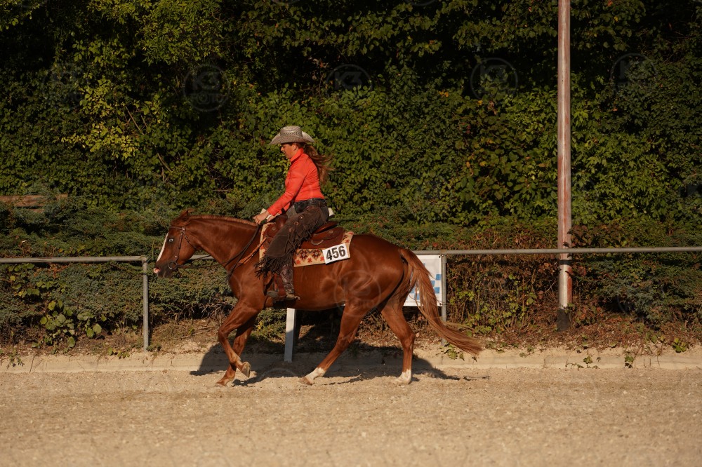 s_A_906797.JPG